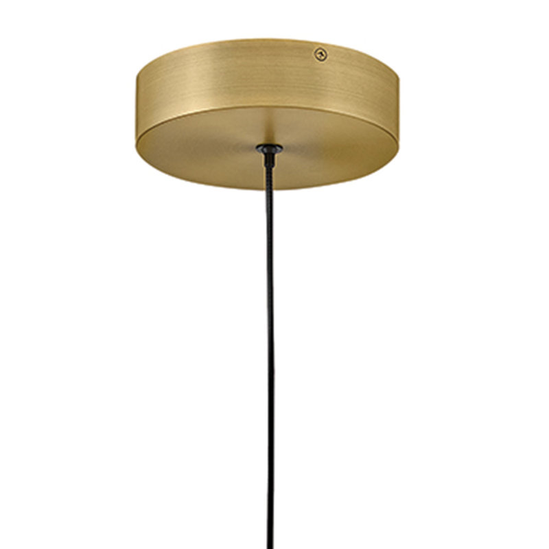 Petit luminaire suspendu Hinkley Trigo par Lisa McDennon