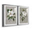 Magnolia botanique - ensemble de 2 reproductions d'art-512224786-512224790-512224798