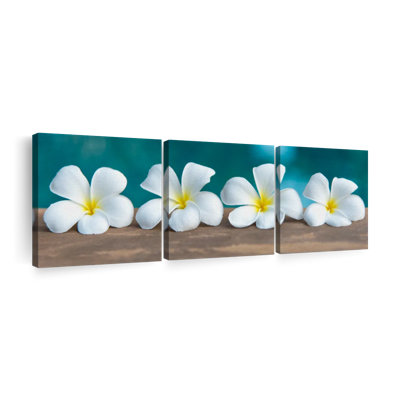 " White Frangipani Flower " 3 - Pieces
