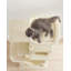 143cm H Cat Tree-100556295-100556302