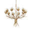 Star Magnolia Chandelier-196524147