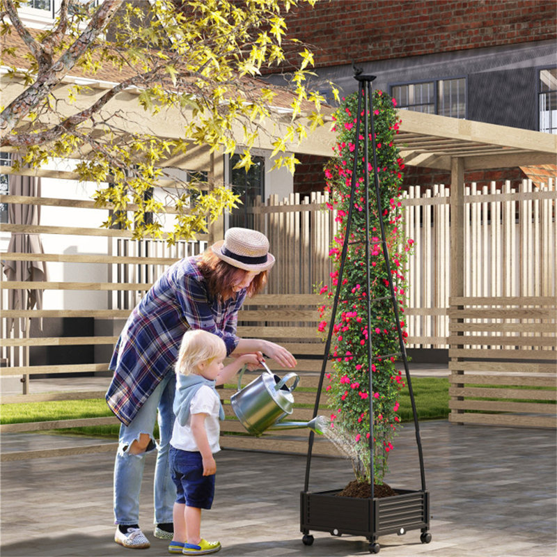 Lit de jardin avec treillis