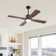 Jovaniel 54'' Ceiling Fan with LED Lights
