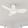 36'' Elaise 3 - Blade LED Flush Mount Ceiling Fans with Lights