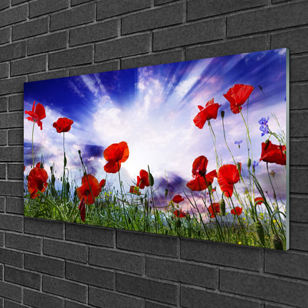 Glasbild Poppies Nature