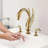 Widespread 2-handle Bathroom Faucet