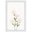 Thin Petals - Single Picture Frame Print-1022582361