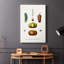 Variétés de fruits et légumes III - Cavas enveloppés de galerie-108843391