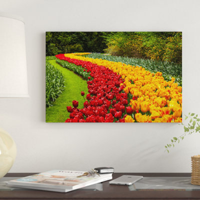 " Netherlands, Keukenhof " by Mikolaj Gospodarek