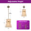 Luminaire suspendu 2 lumières unique