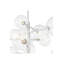 Argento 12 - Light Chandelier-9670713-9670712