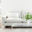 Ruzmira Rectangular Cotton Pillow Cover & Insert-1912140699
