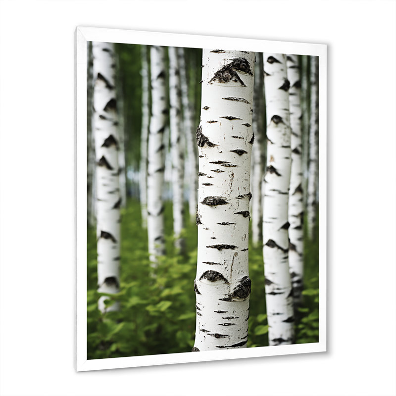 Bouleau blanc et vert Whispers III - Art mural grand bouleau, H 44 po x l 34 po x P 1,5 po, Cadre simple blanc