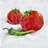 Tomatoes with Jalapeño Red Kitchen Canvas - Framed Decor