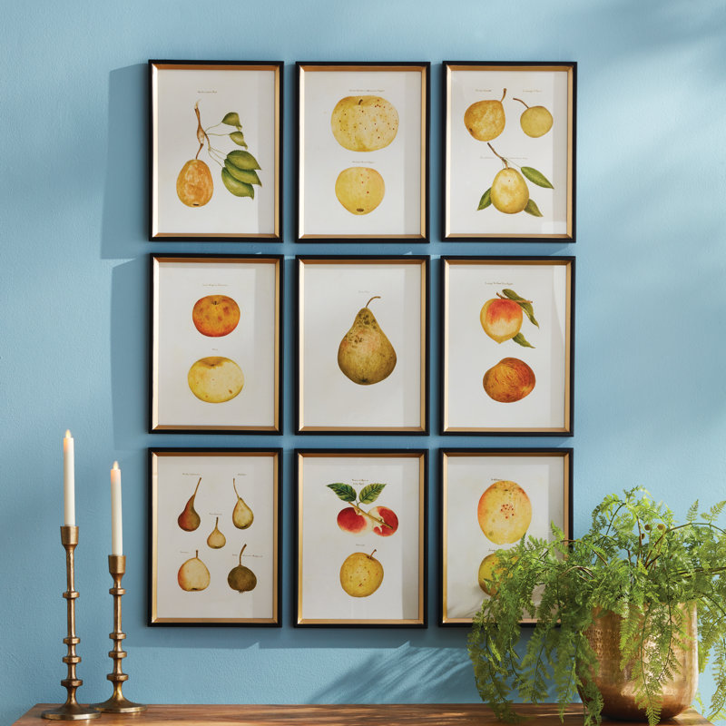 Assorted Fruits Study Prints
