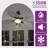 42" Tropical Smart Ceiling Fan With LED Lights And Remote/App Control-1744773514
