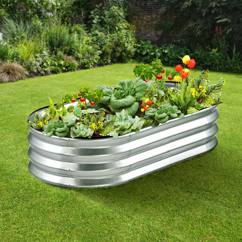 Lit de jardin surélevé en métal H 11 po x l 48 po Carlicia