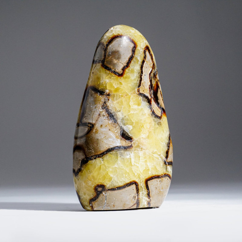 Polished Septarian Freeform from Madagascar (3.6 lbs)