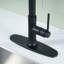 ARCORA Pull Down Kitchen Faucet-93513399