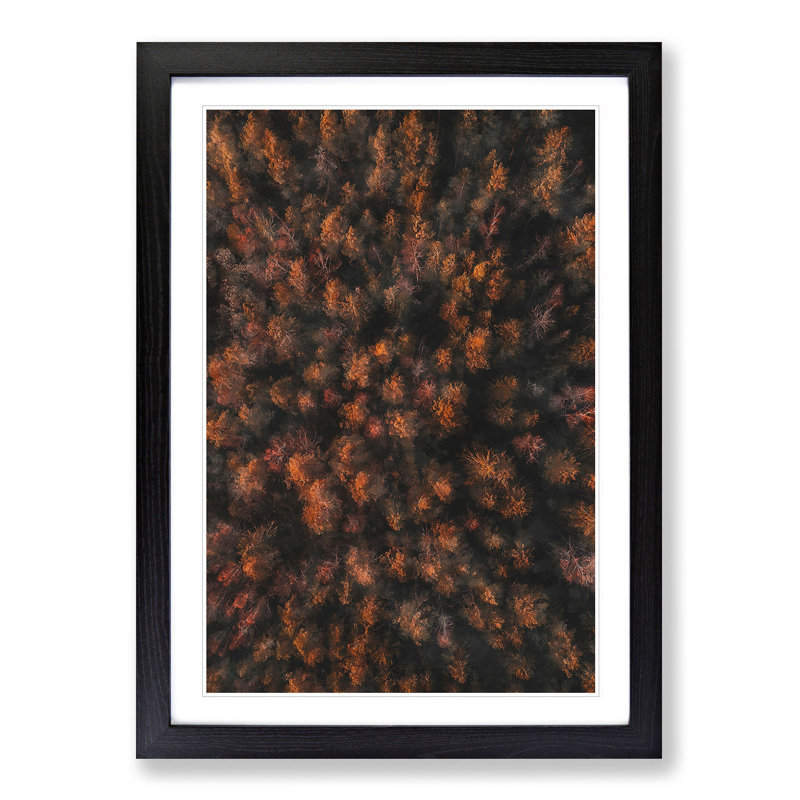 Autumn Forest in Bloom - Picture Frame Painting Print, 45cm H x 33cm W x 2cm D, Black Framed