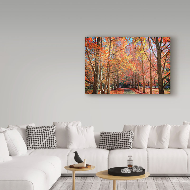 « automne steet », reproduction de photo sur toile tendue, H 16 po x l 24 po x P 2 po