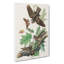 Whip Poor Will Birds Butterflies by John Audubon - Wrapped Canvas Painting-55305183