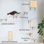Five Piece Cat Tree Set-1624666120
