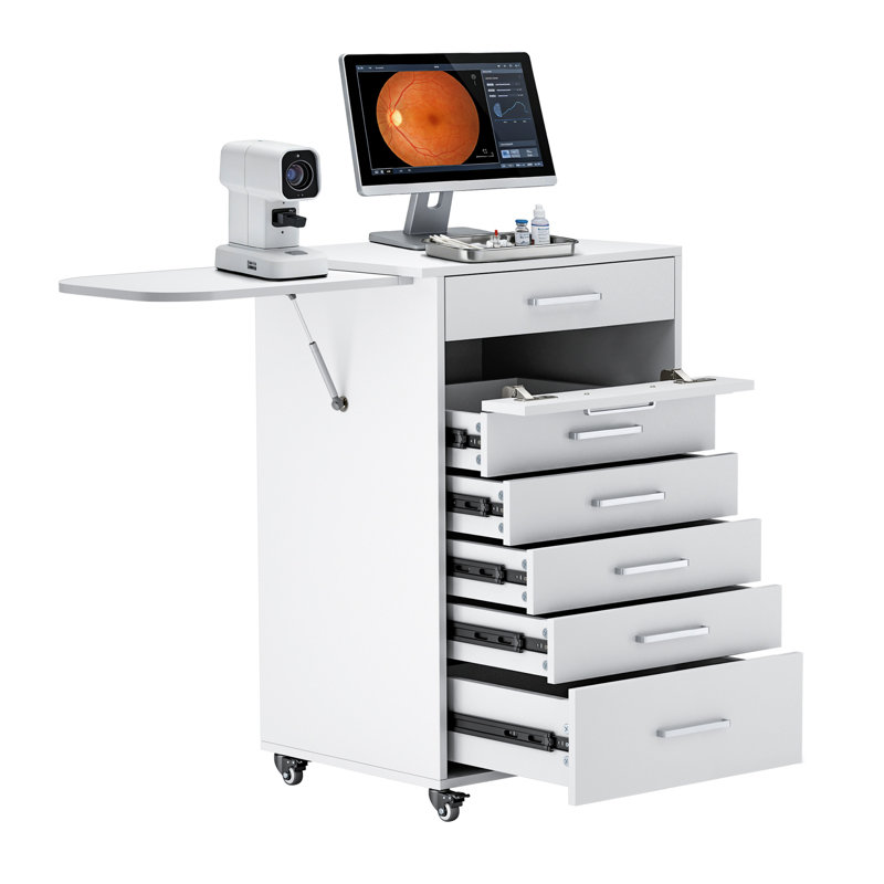 Chariot médical professionnel avec capacité de 150 lb - Chariot roulant pour hôpital, cabinet de dentiste, salon de beauté - Roues verrouillables silencieuses à 360 ° (avec 6 tiroirs / blanc)