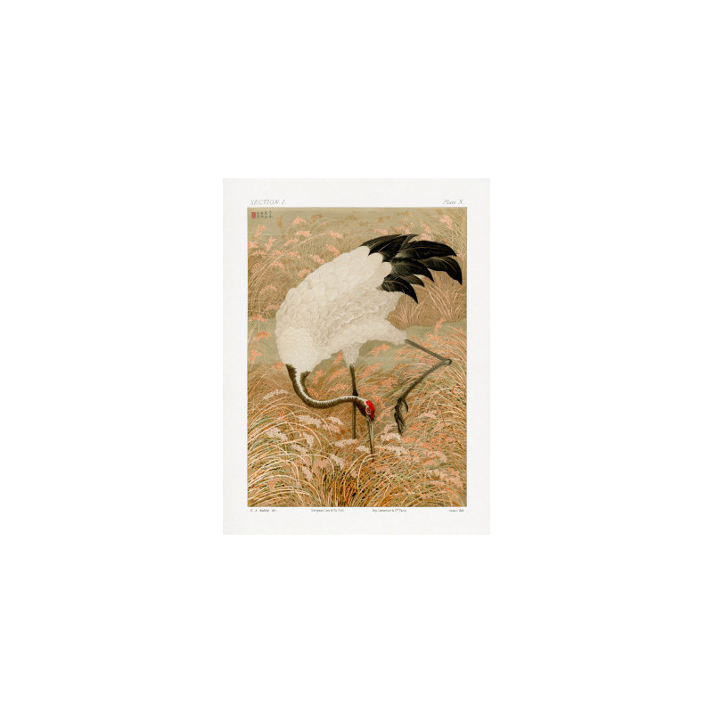 Wrapped Canvas Print, 76.2 cm H x 50.8 cm W