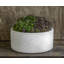 Geo Planter-45018546