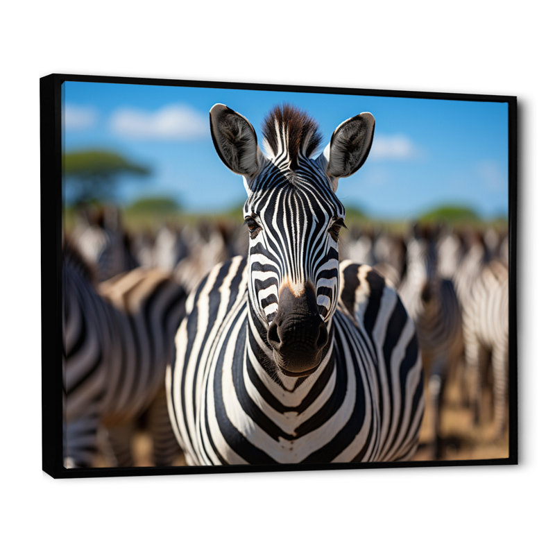 Zèbres d'Afrique, impression sur toile, H 30 po x l 40 po x P 1,5 po, Cadre flottant noir