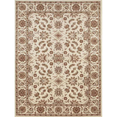 Oriental Indoor Rug