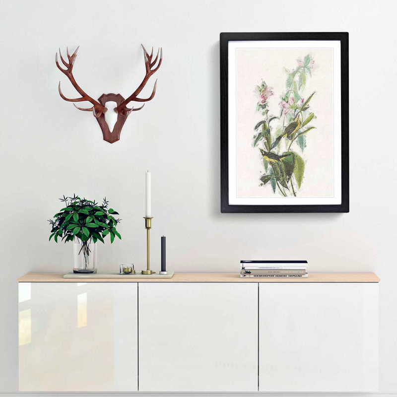 Green Black-Capt Flycatcher Bird by John Audubon - Framed Print, 65cm H x 48cm W x 2cm D, Black Framed