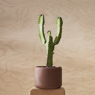Porcelain Plant Pot