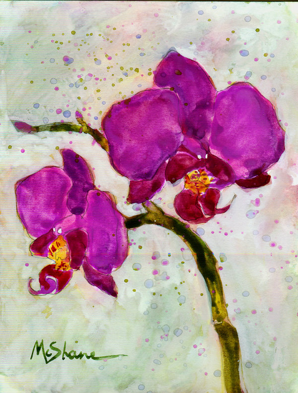 Drapeau De Jardin à 2 Côtés Orchidée