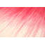 Tapis de zone rose en laine handwoven à tissage plat Saima