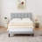 Auxter Upholstered Platform Bed Frame with Vertical Channel Tufted Adjustable Headboard, Velvet Fabric Mattress Foundation with Strong Wooden Slats, Heavy Duty, No Box Spring Needed, Noise-Free-1877220115-1856483196