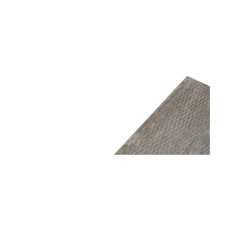 Area Rug in Gray