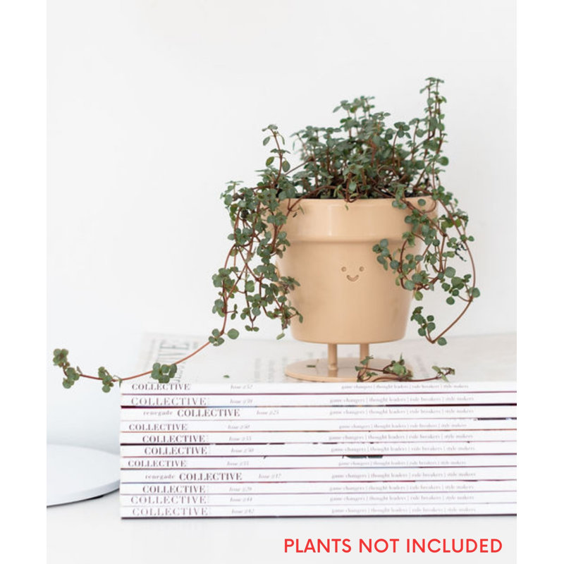 Cute Pots Pot Planter