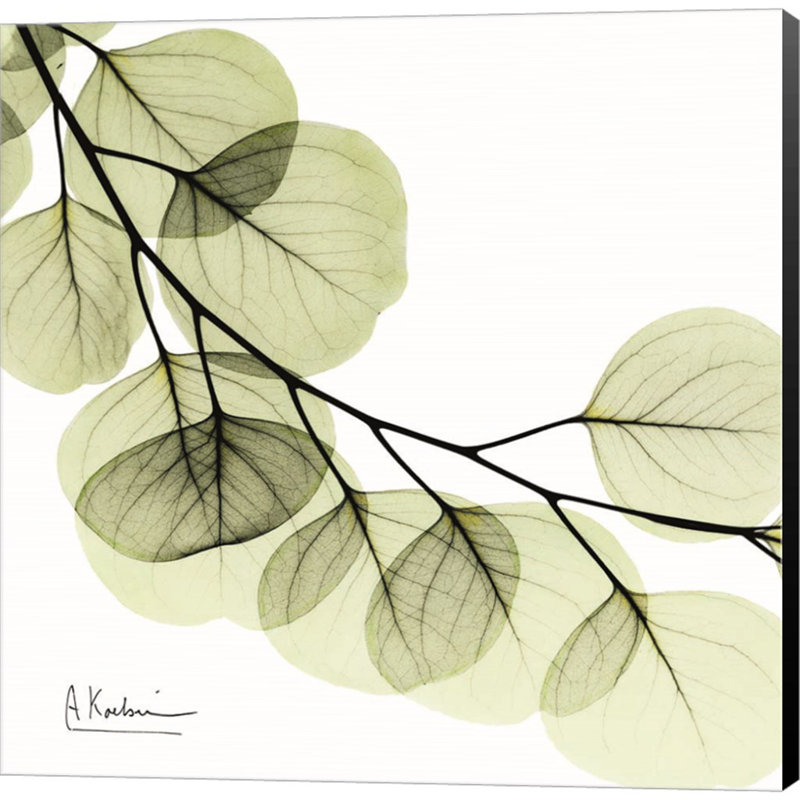 Plants & Flowers Wall Decor on Canvas