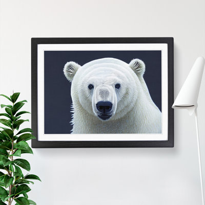 Engaging Polar Bear - Single Picture Frame Print