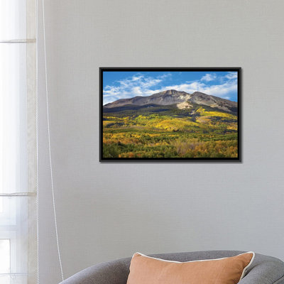 Quaking Aspen Forest And East Beckwith Mountain, West Elk Wilderness, Colorado by Tim Fitzharris - Gallery-Wrapped Canvas Giclée