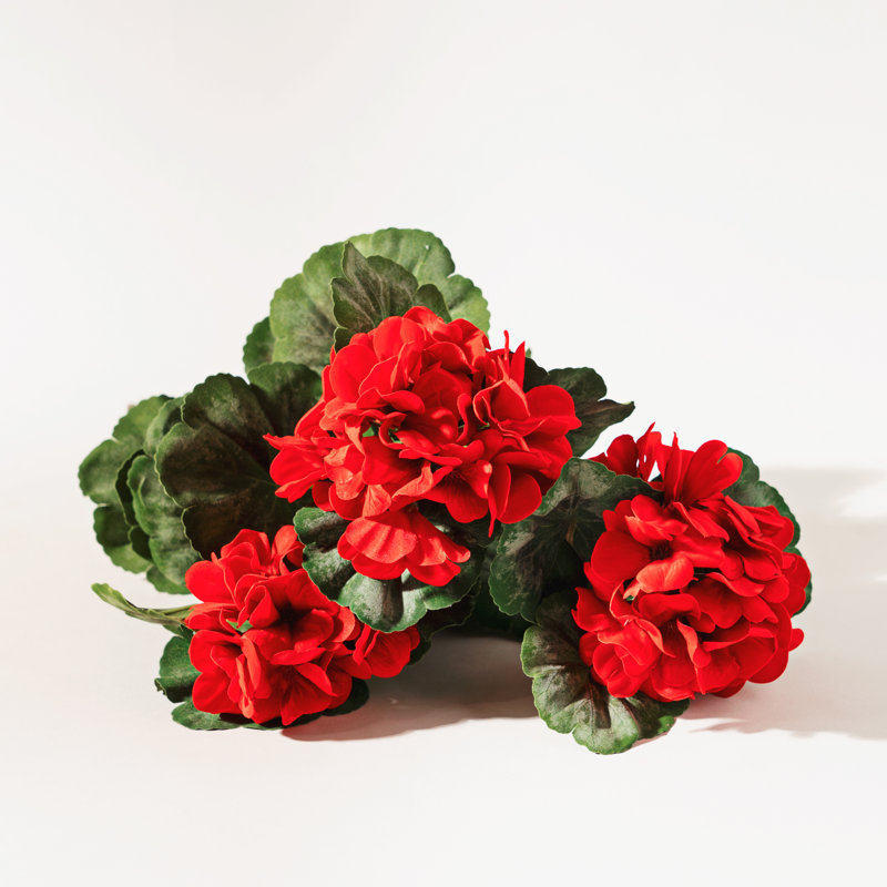 Geranium Arrangement