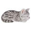 Statue de chaton tigré endormi-209440240