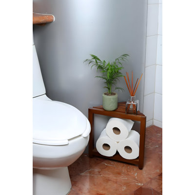 Tabouret de douche avec tablette de rangement, banc de salle de bain imperméable et peu encombrant de 12 pouces pour raser et organiser les articles de toilette