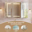 2540 Mirrored Bathroom Cabinets 6 Shelves with Mirror