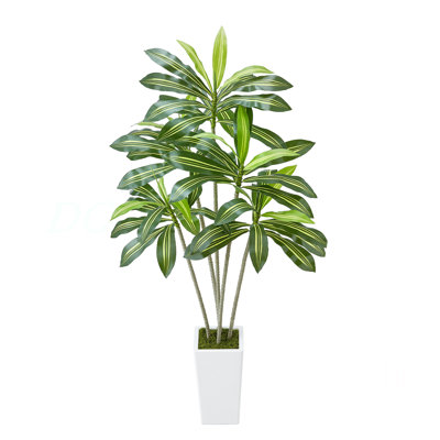 Arbre artificiel artificiel 6 pi avec plante blanche Dracaena 6 pi