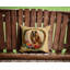 Coussin afghan-439333113