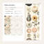 Papier peint floral rétro avec motif de papillons éclectiques-124896655