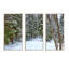 «Snowy Road in the Forest», ensemble de 3 reproductions encadrées sur toile-894231115-934315539
